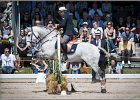 Pferd International 080